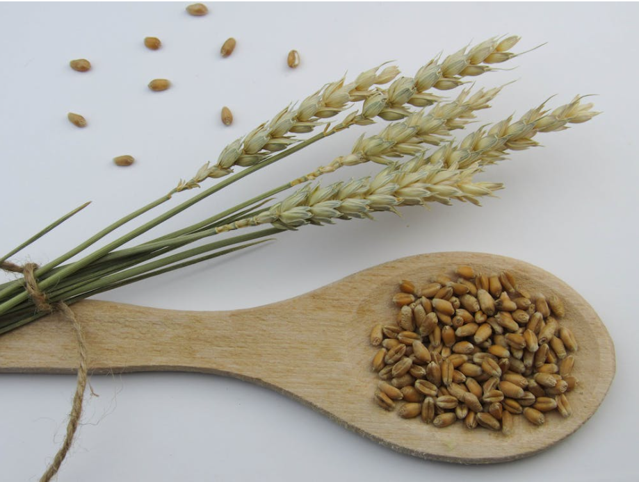 Image showing whole grains