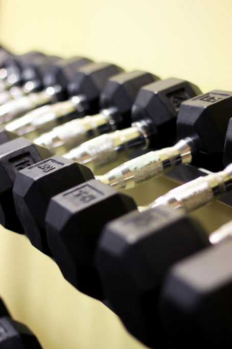 Strategies to develop a mind to muscle connection.